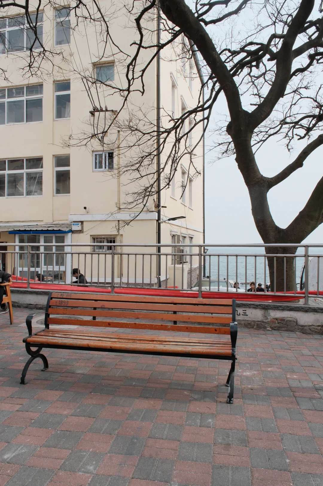 推荐！青岛免费景点琴屿路孤独的树/空景自取