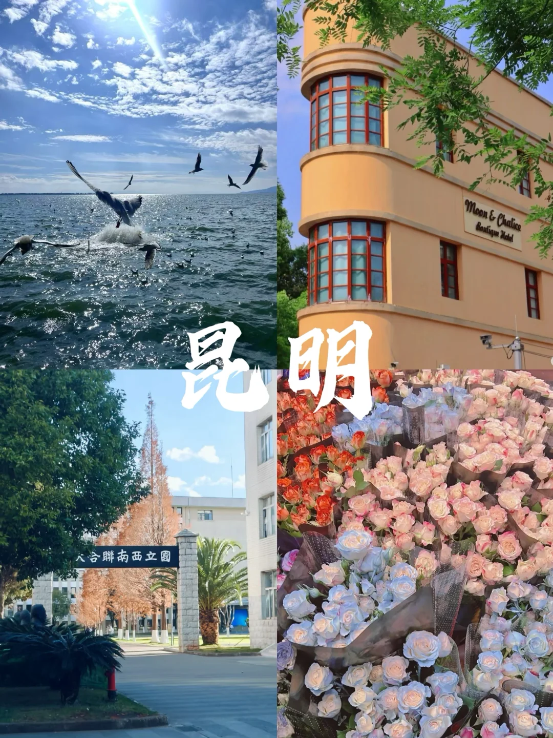 🗺️去有风的地方｜云南7天6晚保姆级攻略