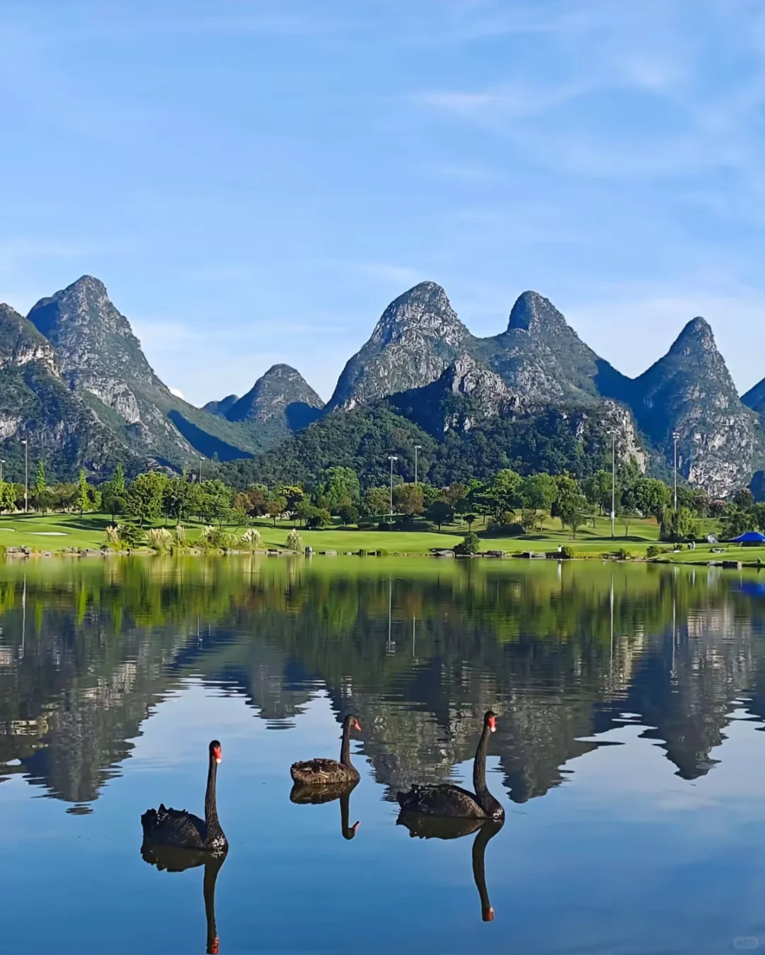 🌸3-4月国内旅行天花板｜这10个地方美到封神