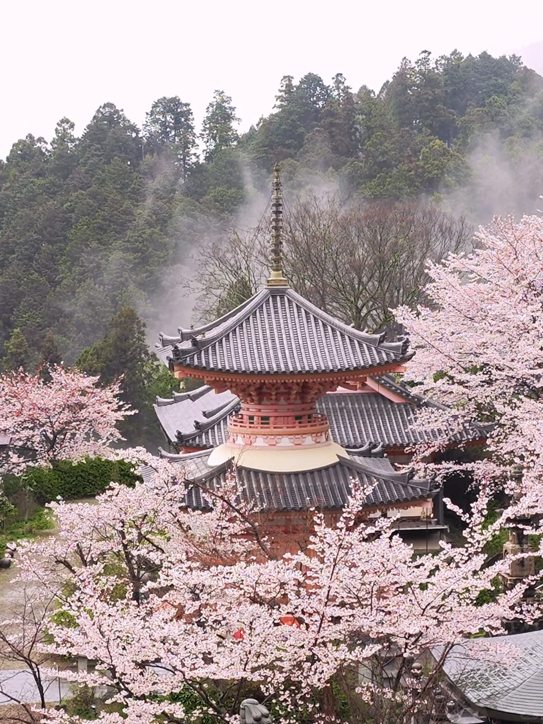 天啊‼️我很少用「震撼」形容一个地方‼️