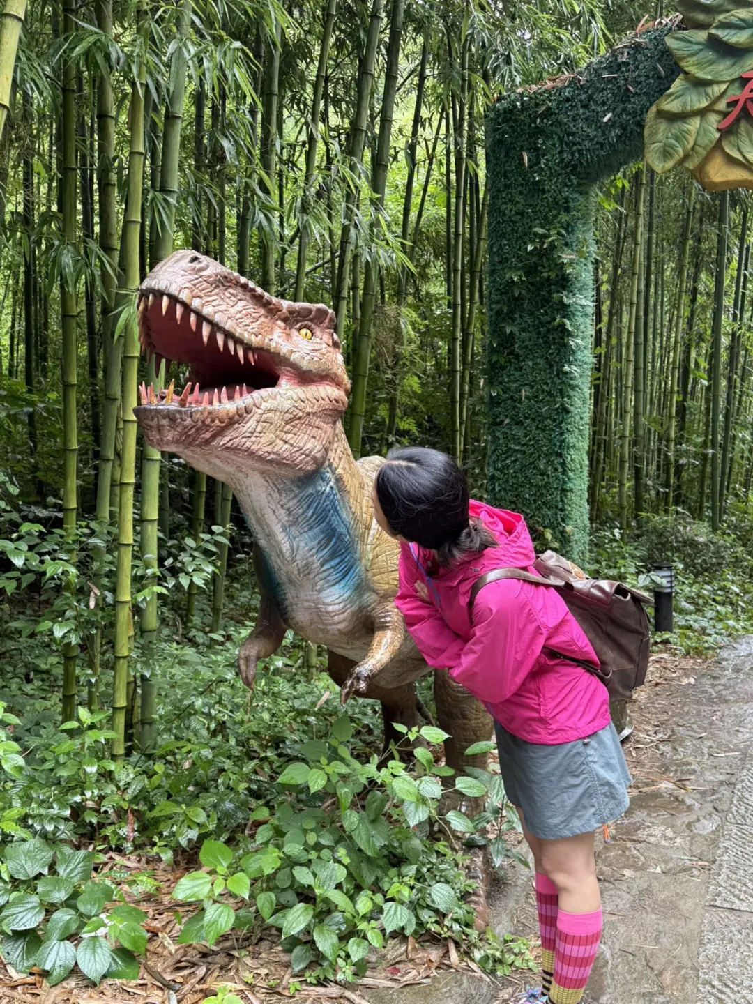 还有谁没去过桐庐天子地山野乐园的❗️❗️❗️