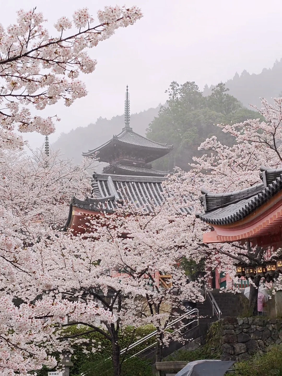 天啊‼️我很少用「震撼」形容一个地方‼️