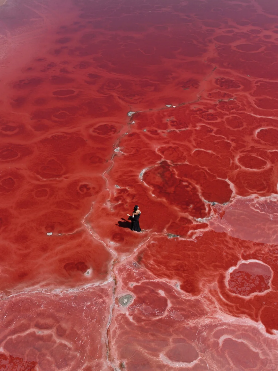 迄今为止,我最喜欢的沙漠出现了~