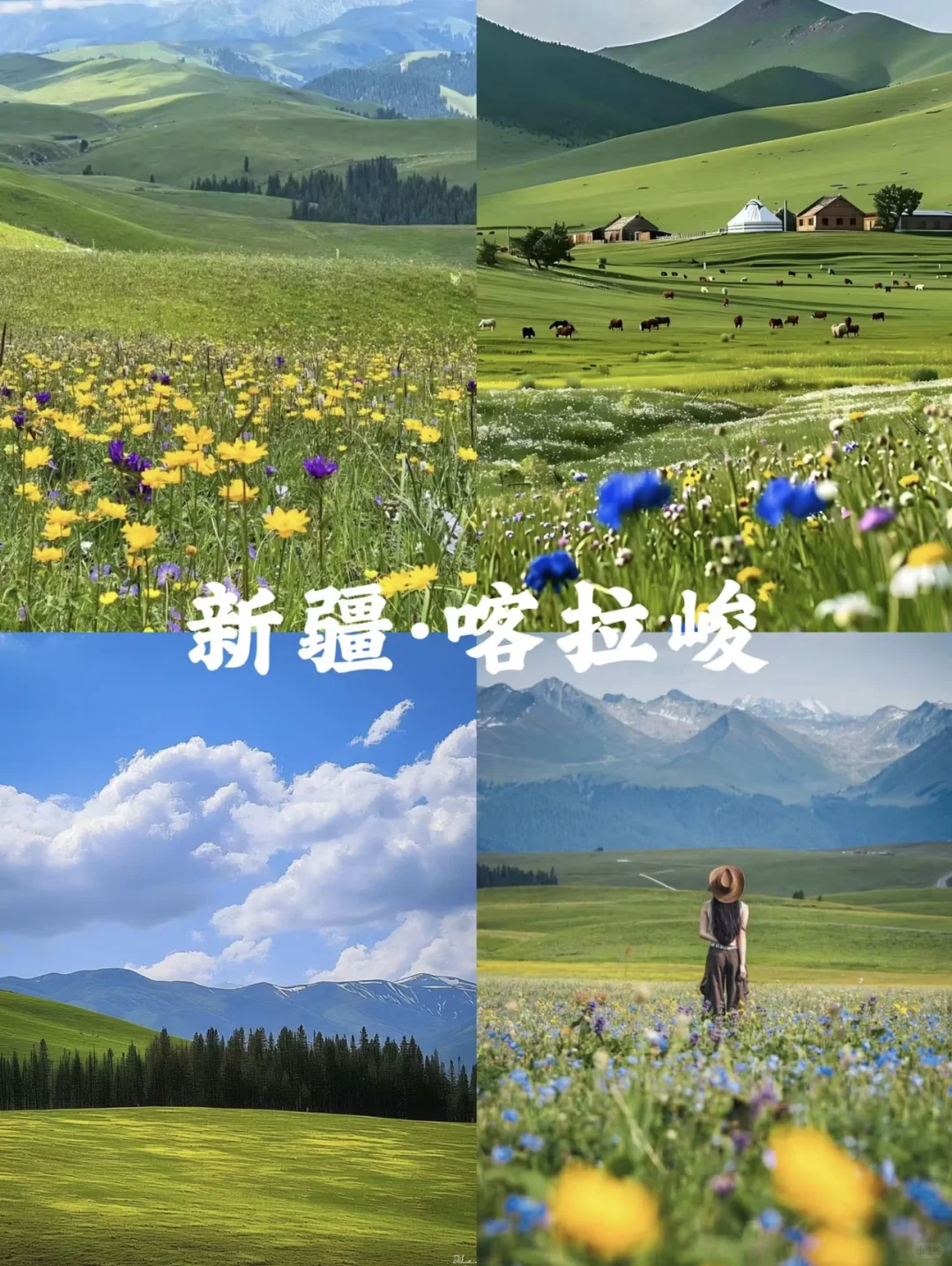 七月国内旅行地攻略来啦