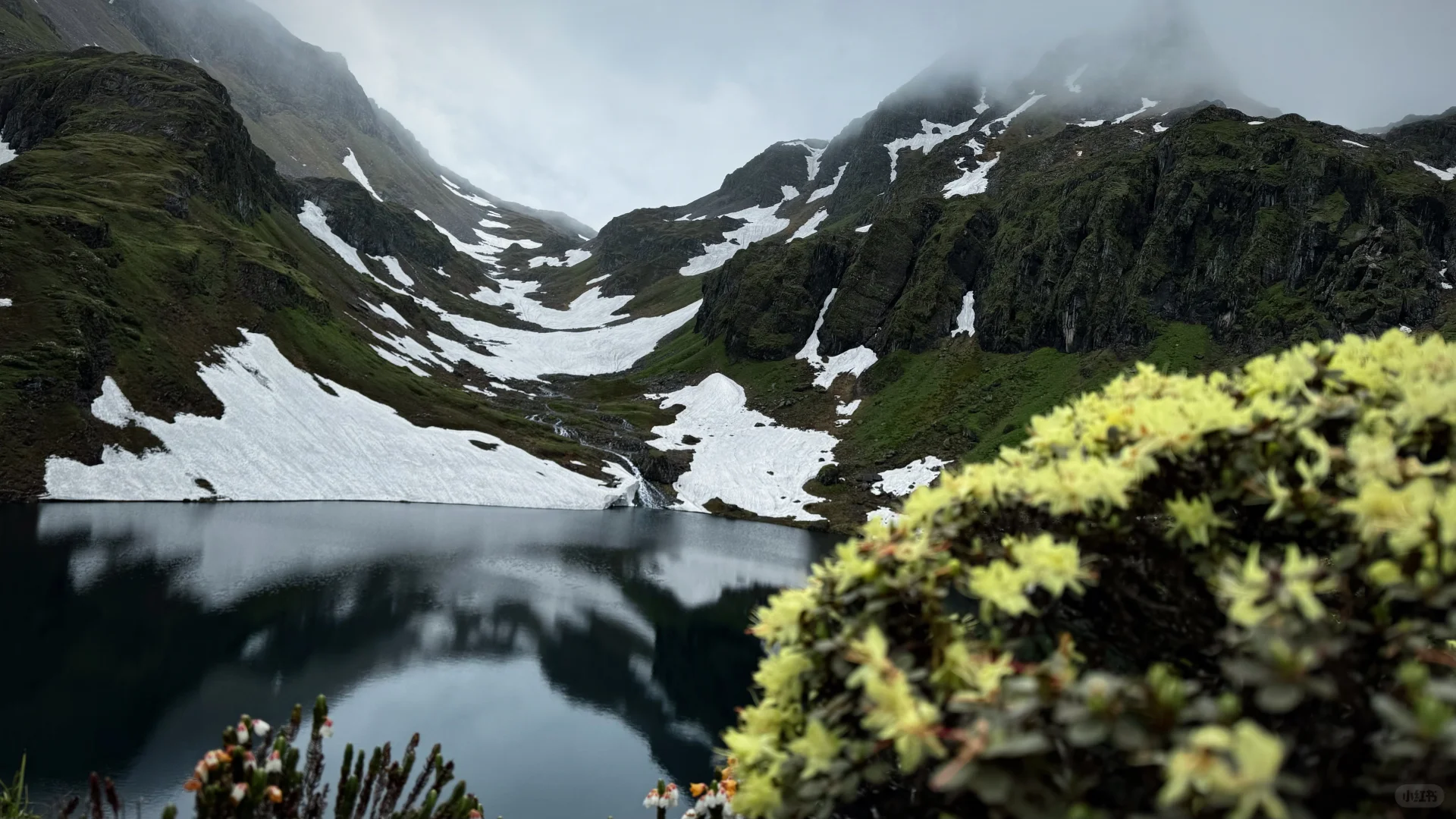 来了好几次云南还是玩不够。