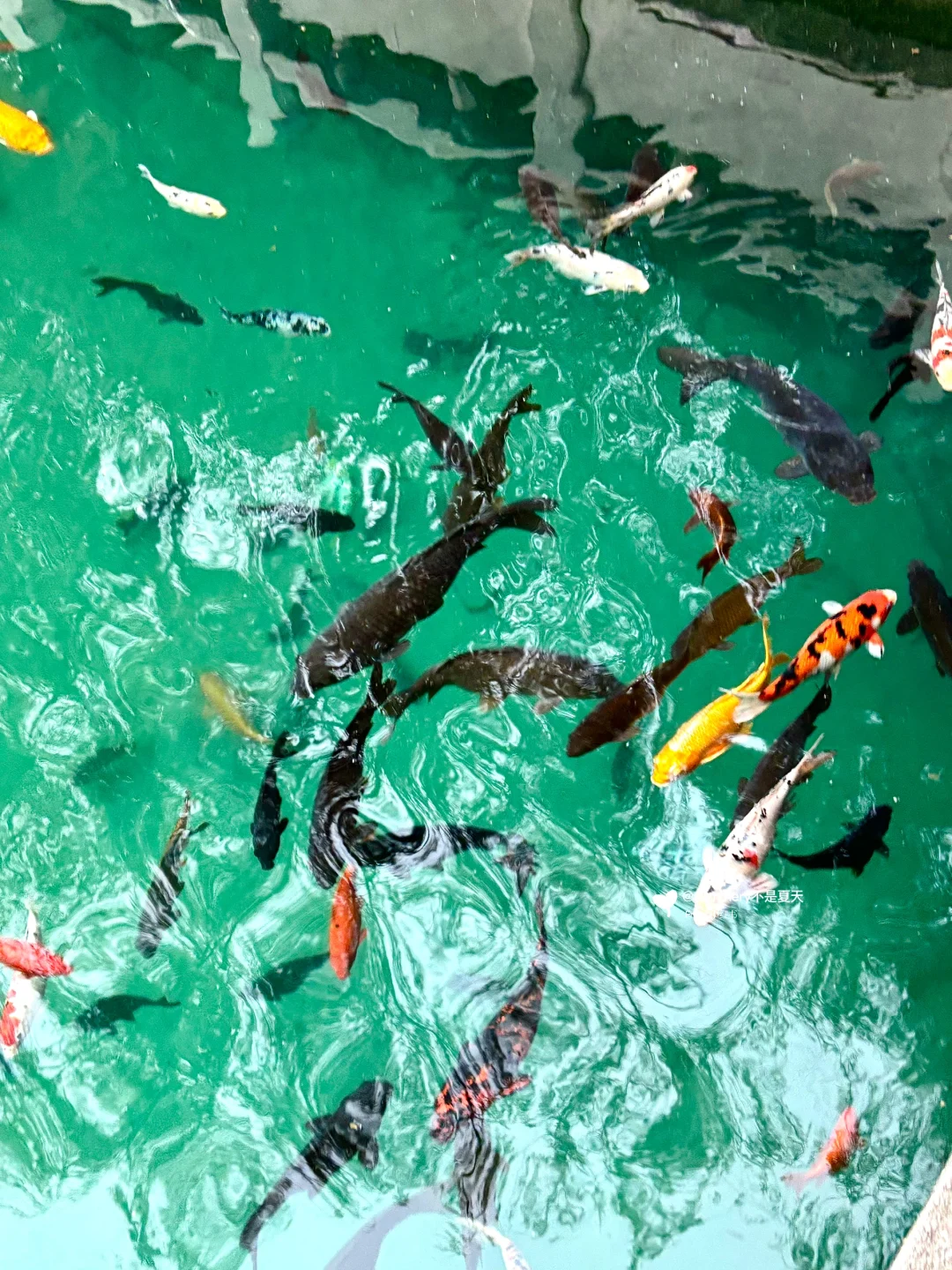 济南懒人版旅游攻略做好啦✅主打省心省力!