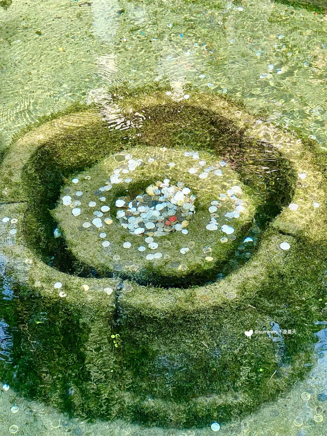 济南懒人版旅游攻略做好啦✅主打省心省力!