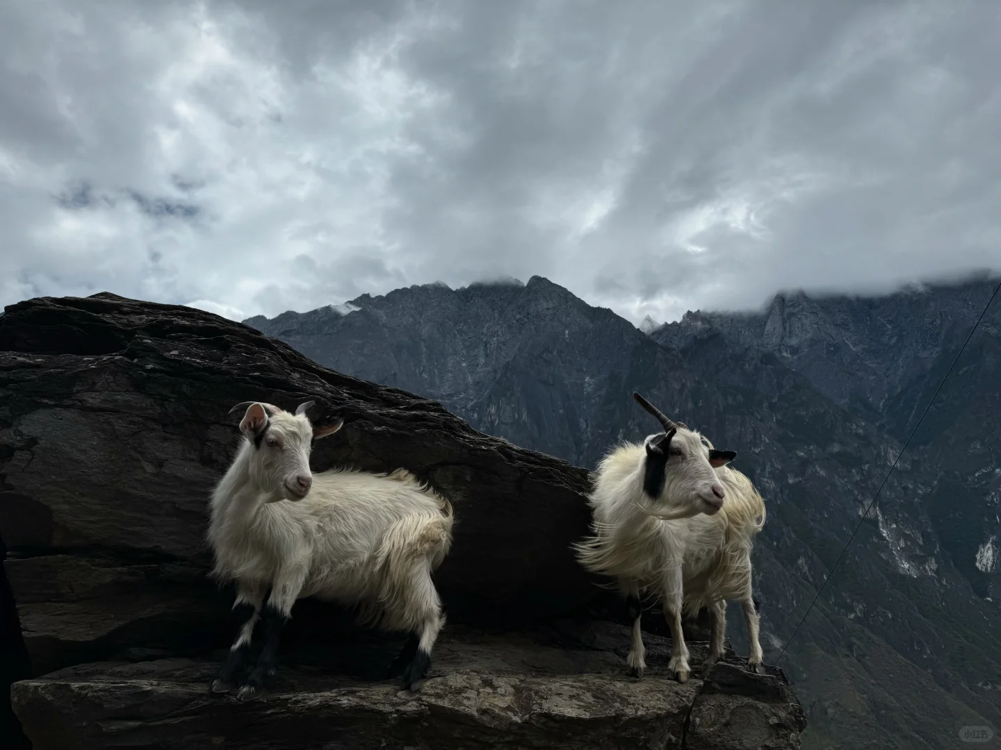 来了好几次云南还是玩不够。