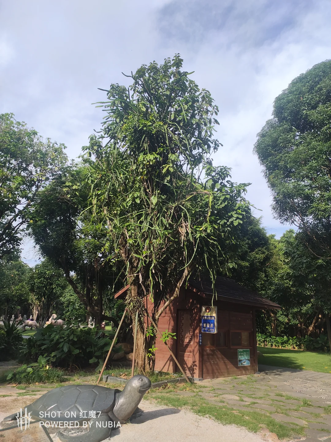 南宁行记（四）