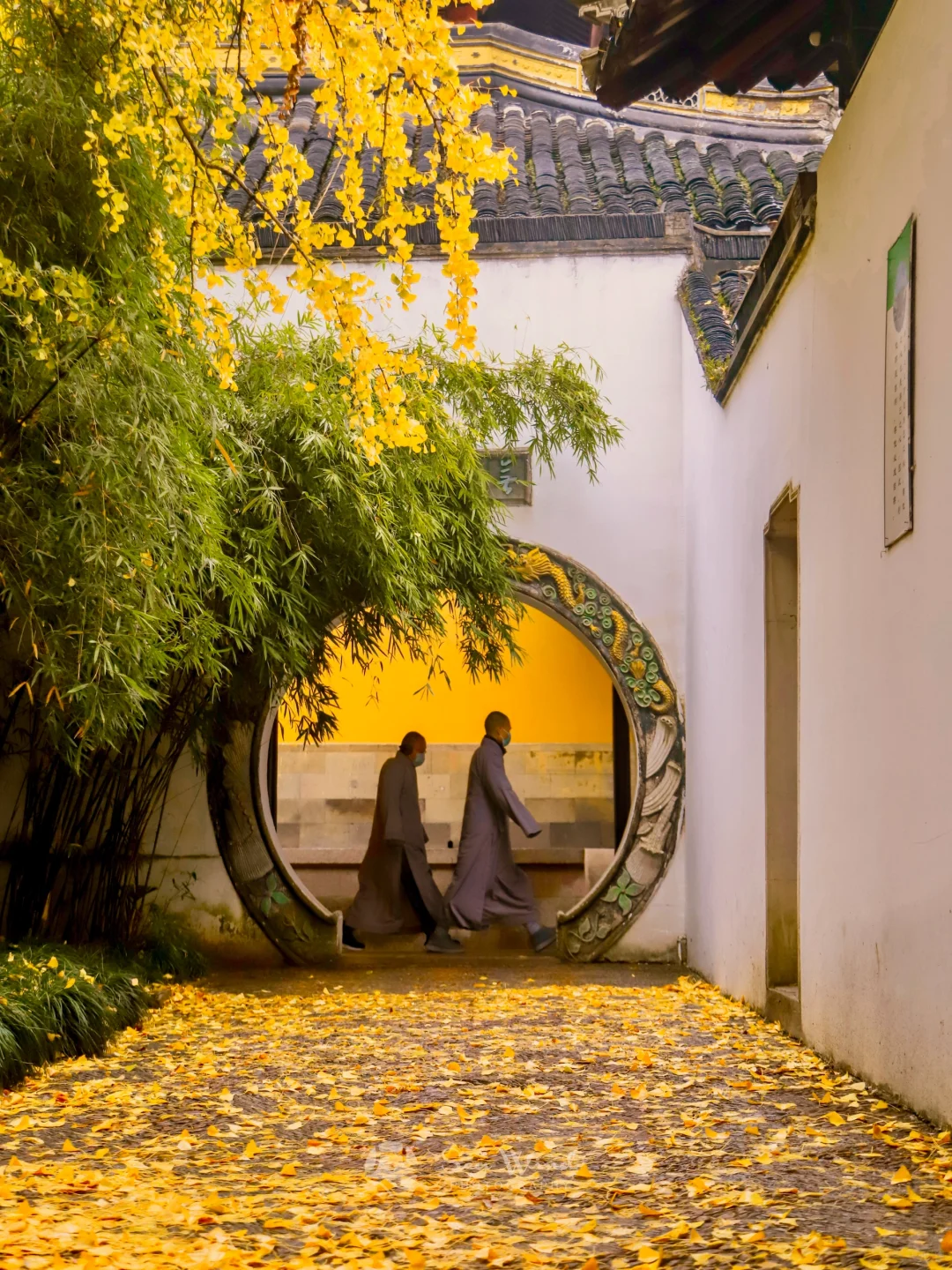 推荐🔟个国内宝藏赏秋地，真的不输国外……