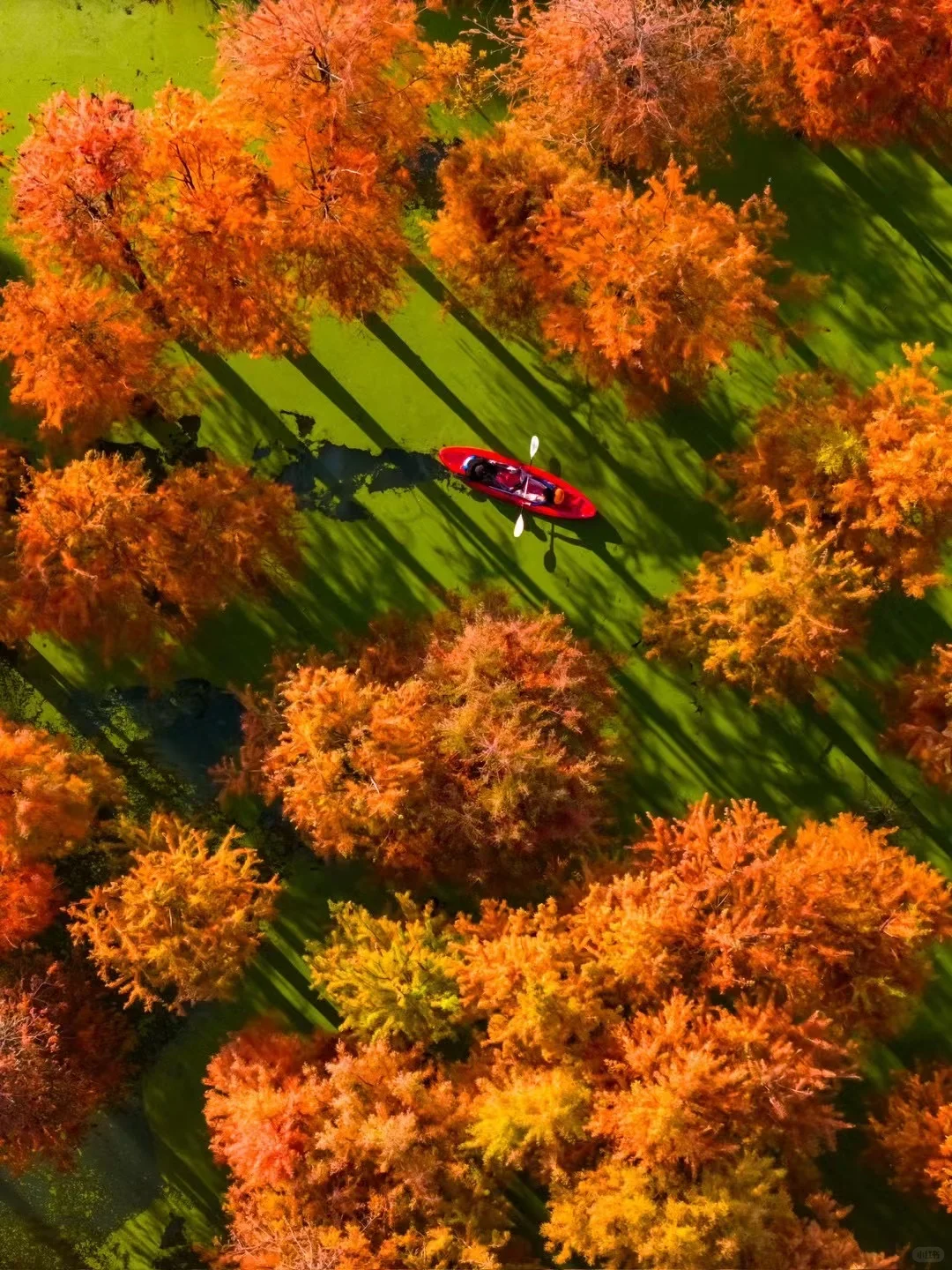 推荐🔟个国内宝藏赏秋地，真的不输国外……