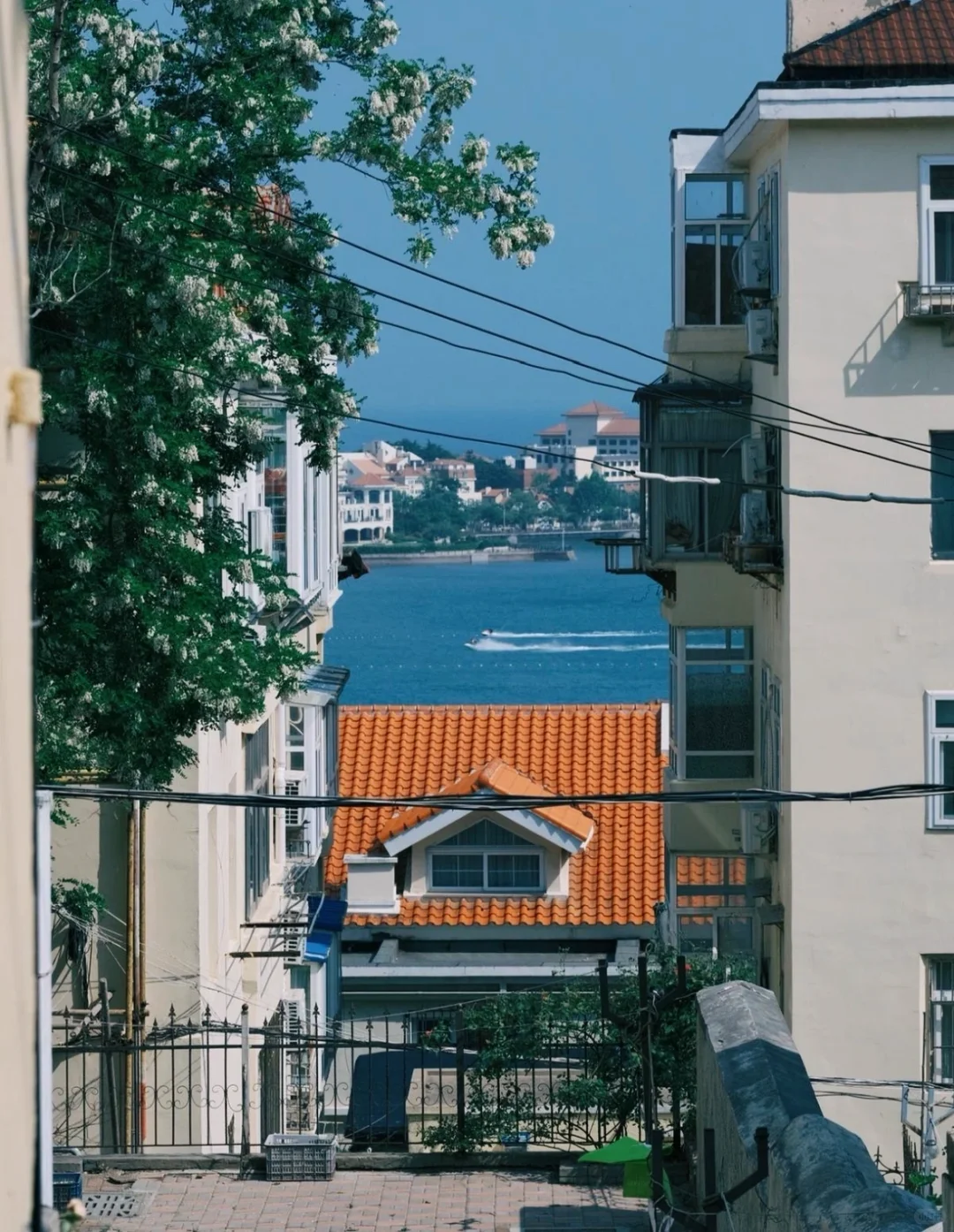 青岛3日游攻略｜干货满满‼️自用攻略‼️