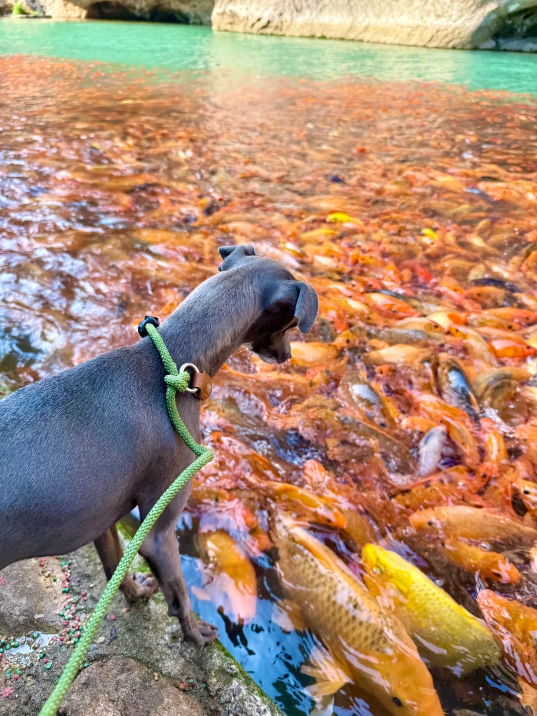 在小红书跟风最成功的一次………！！
