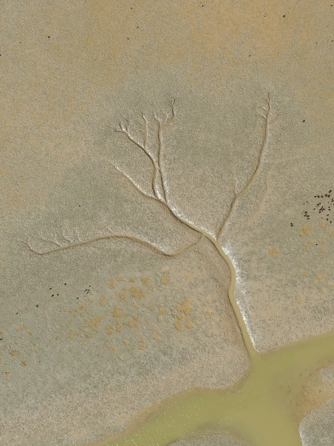 今年去过最冷门的城市！藏不住了！🌊