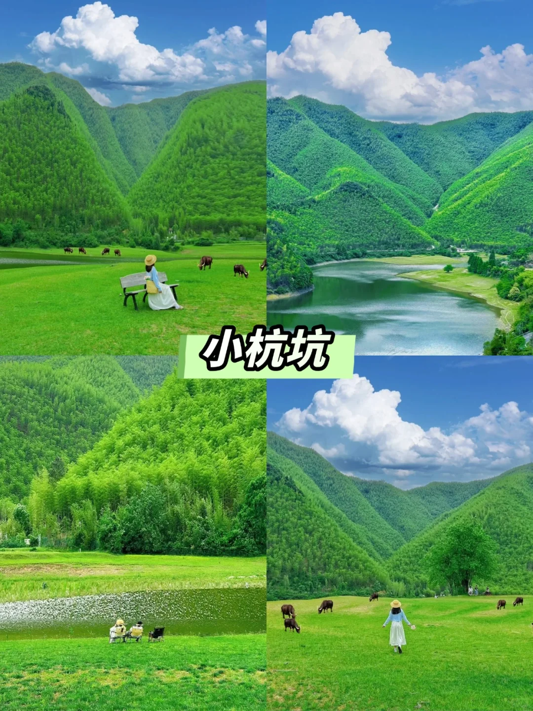 一篇看懂‼️安吉团建必玩景点合集