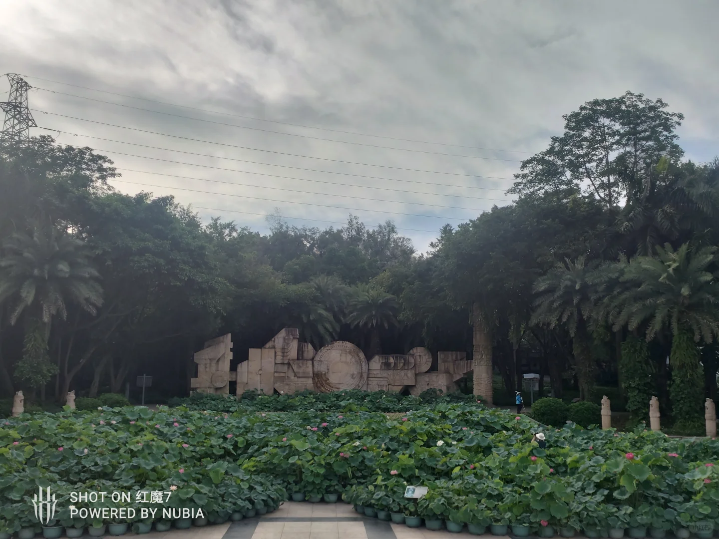 南宁行记（四）