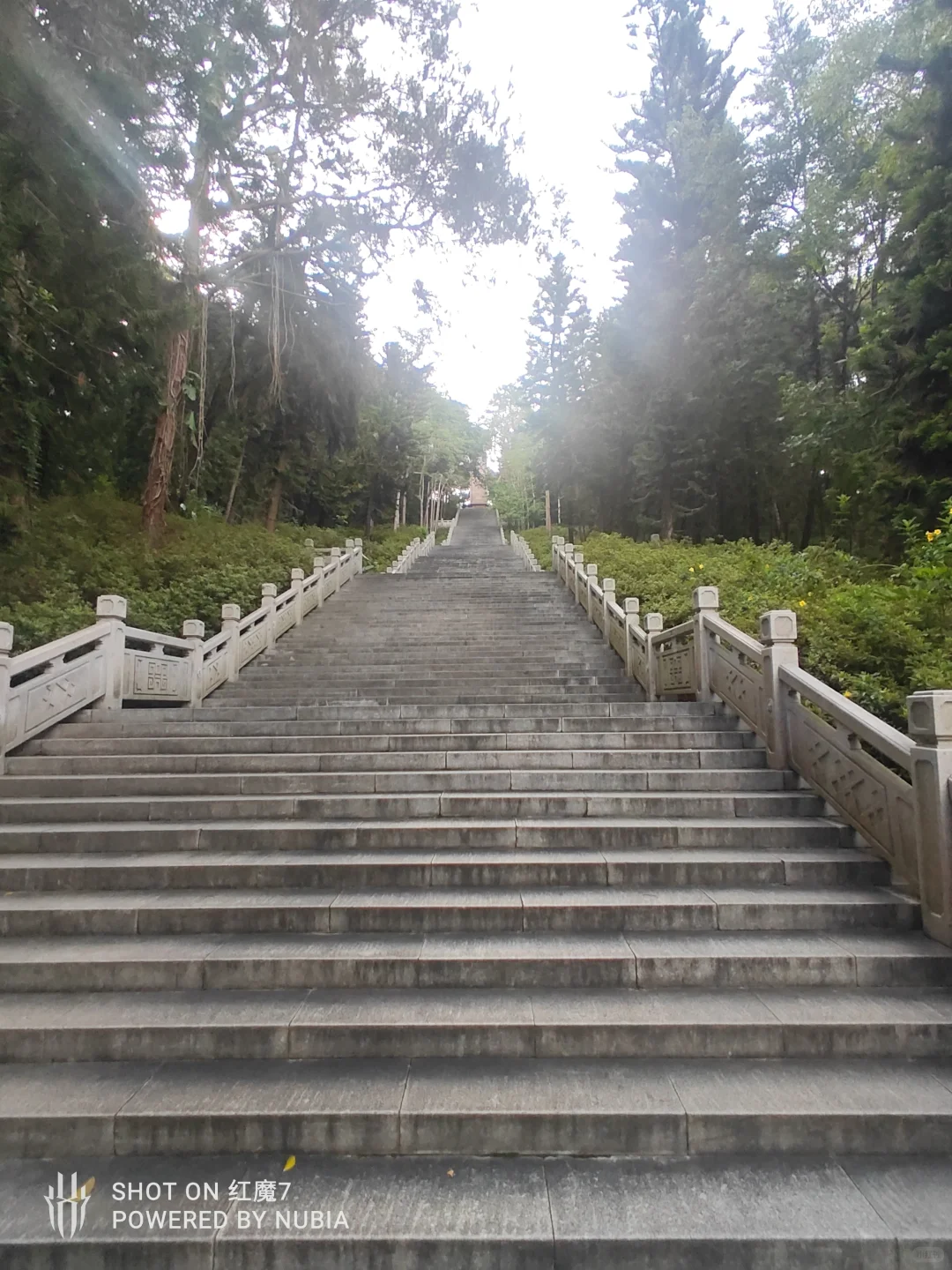 南宁行记（四）