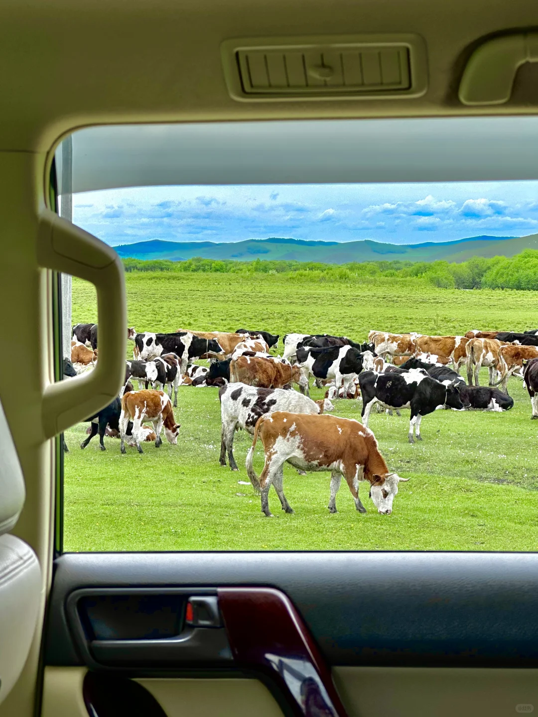 这才是live图的意义｜呼伦贝尔18个封神时刻