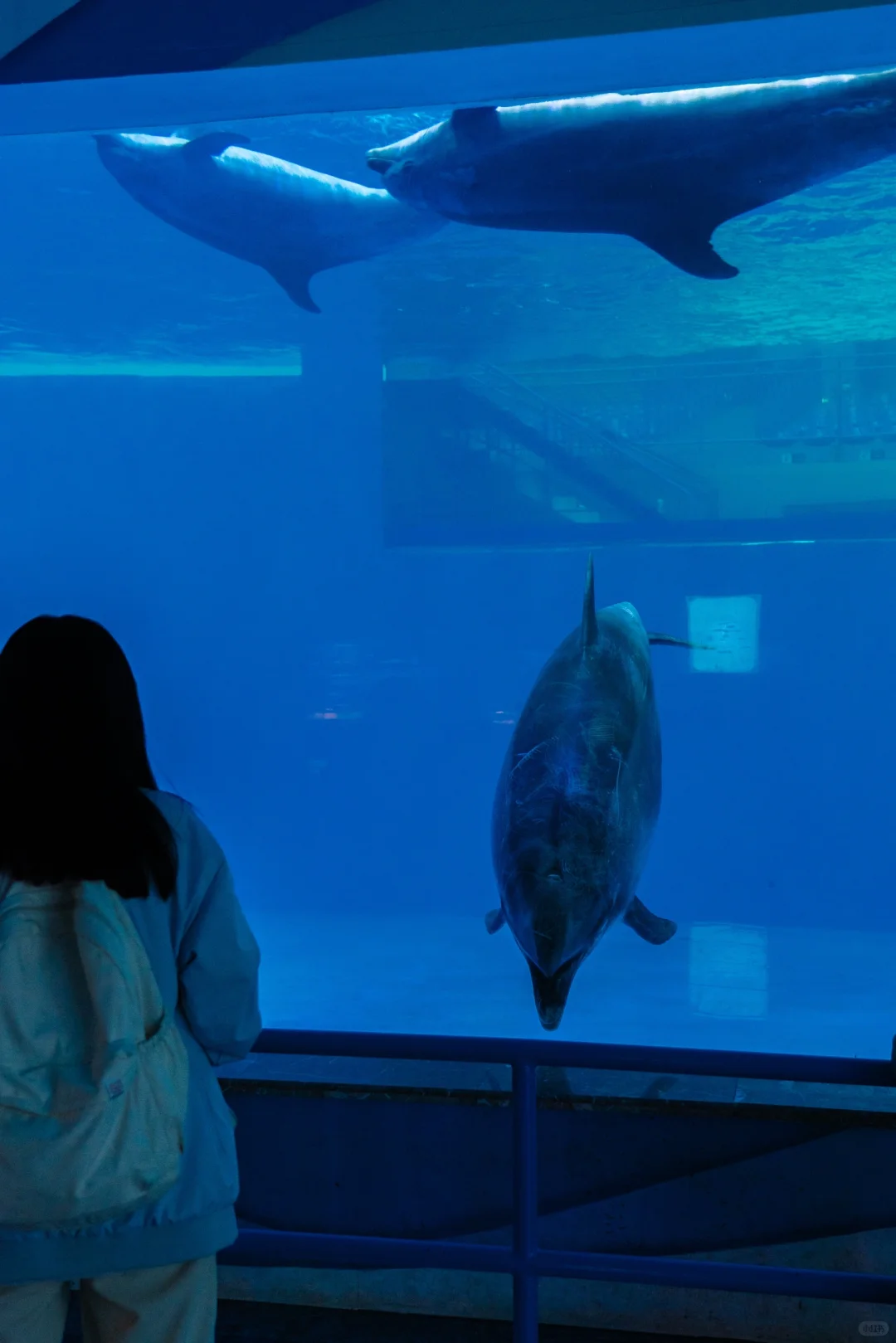 福建人嘴真严,这么好玩的游乐园现在才知道!