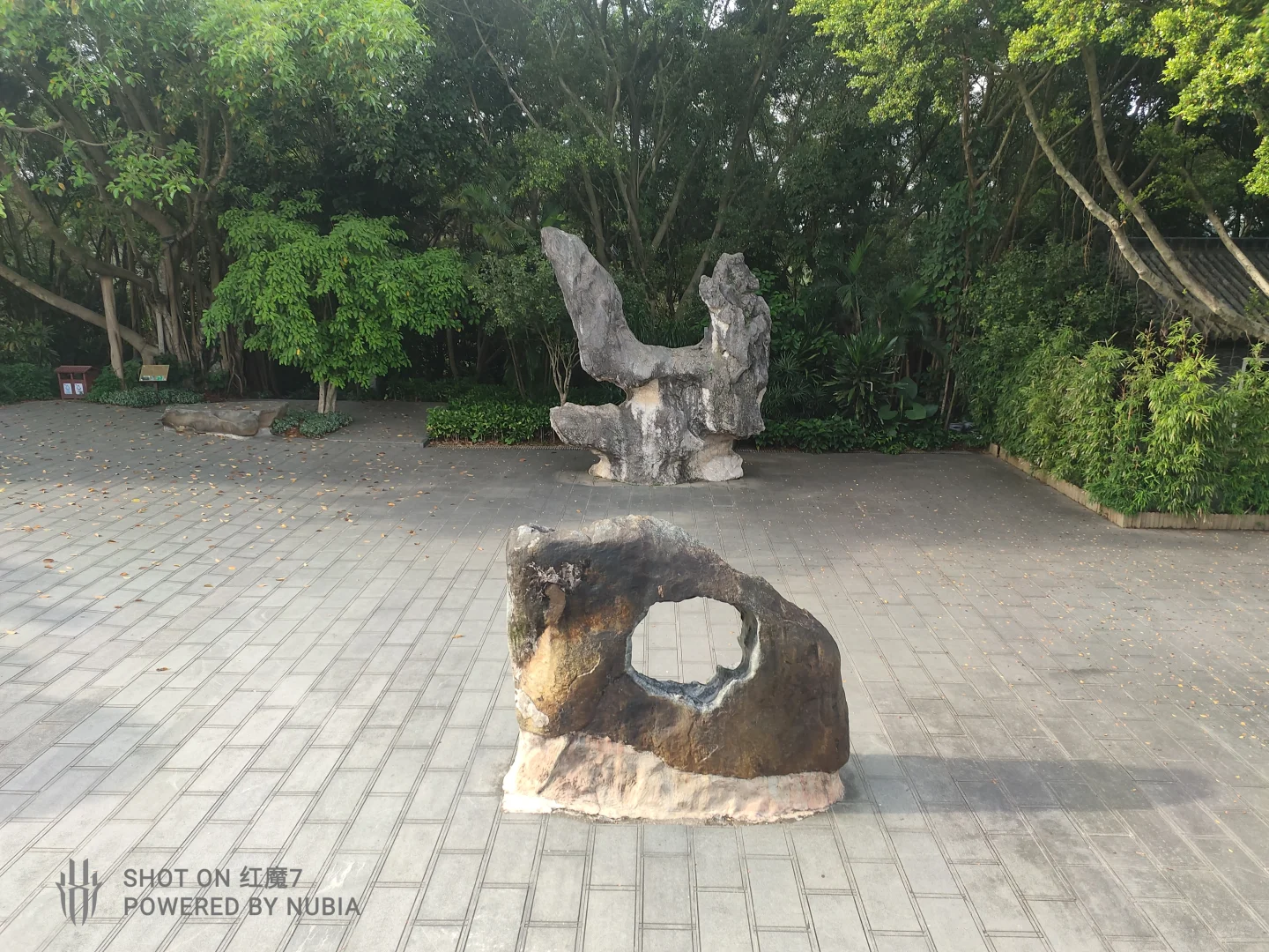 南宁行记（四）