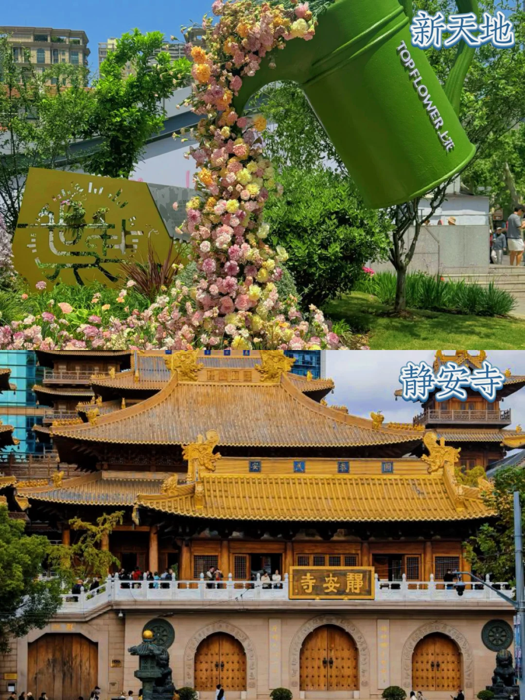 天呐‼️攻略来啦上海必去的16个景点攻略码住