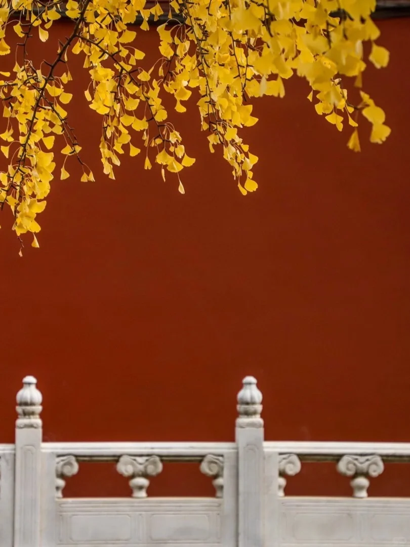 推荐🔟个国内宝藏赏秋地，真的不输国外……