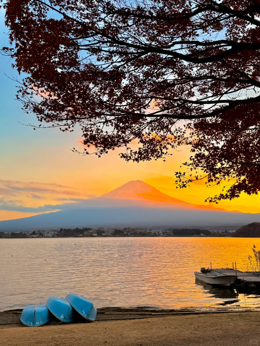 2024记忆存档｜我的年度封神live瞬间🎞️