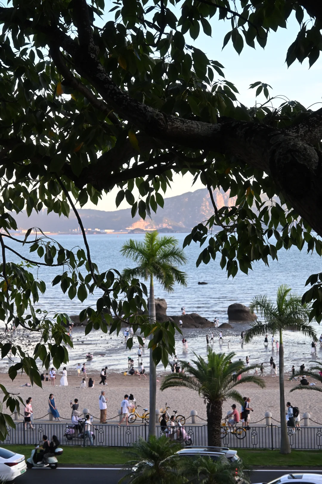 这下谁分得清是夏威夷还是厦门啊