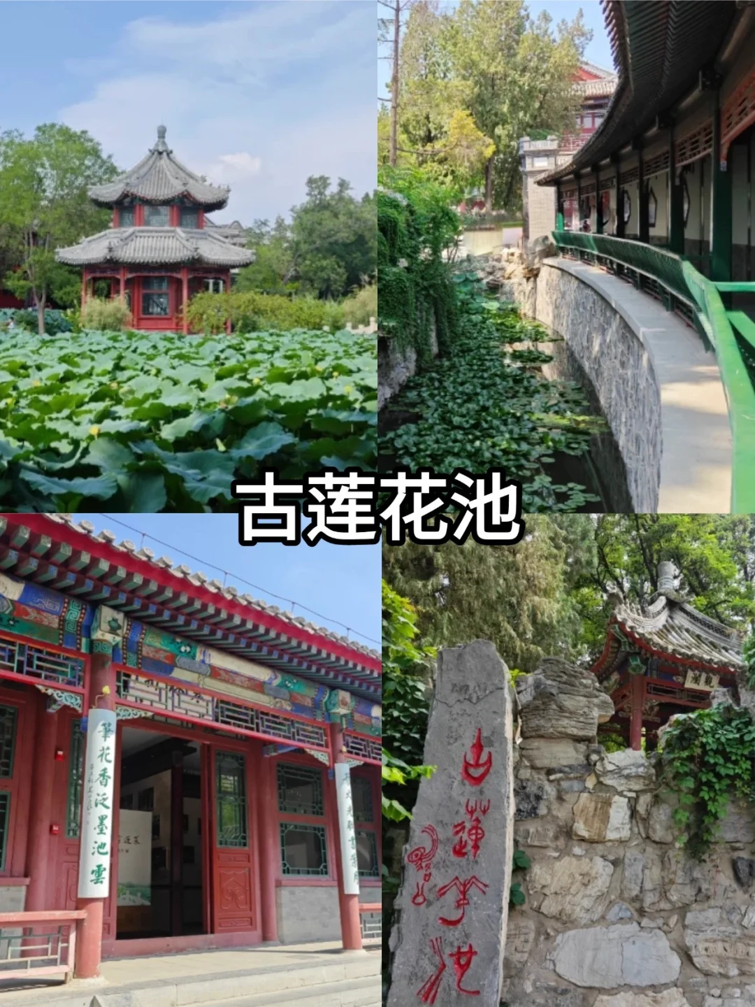 🚄保定一日游吃喝玩乐全攻略🎉