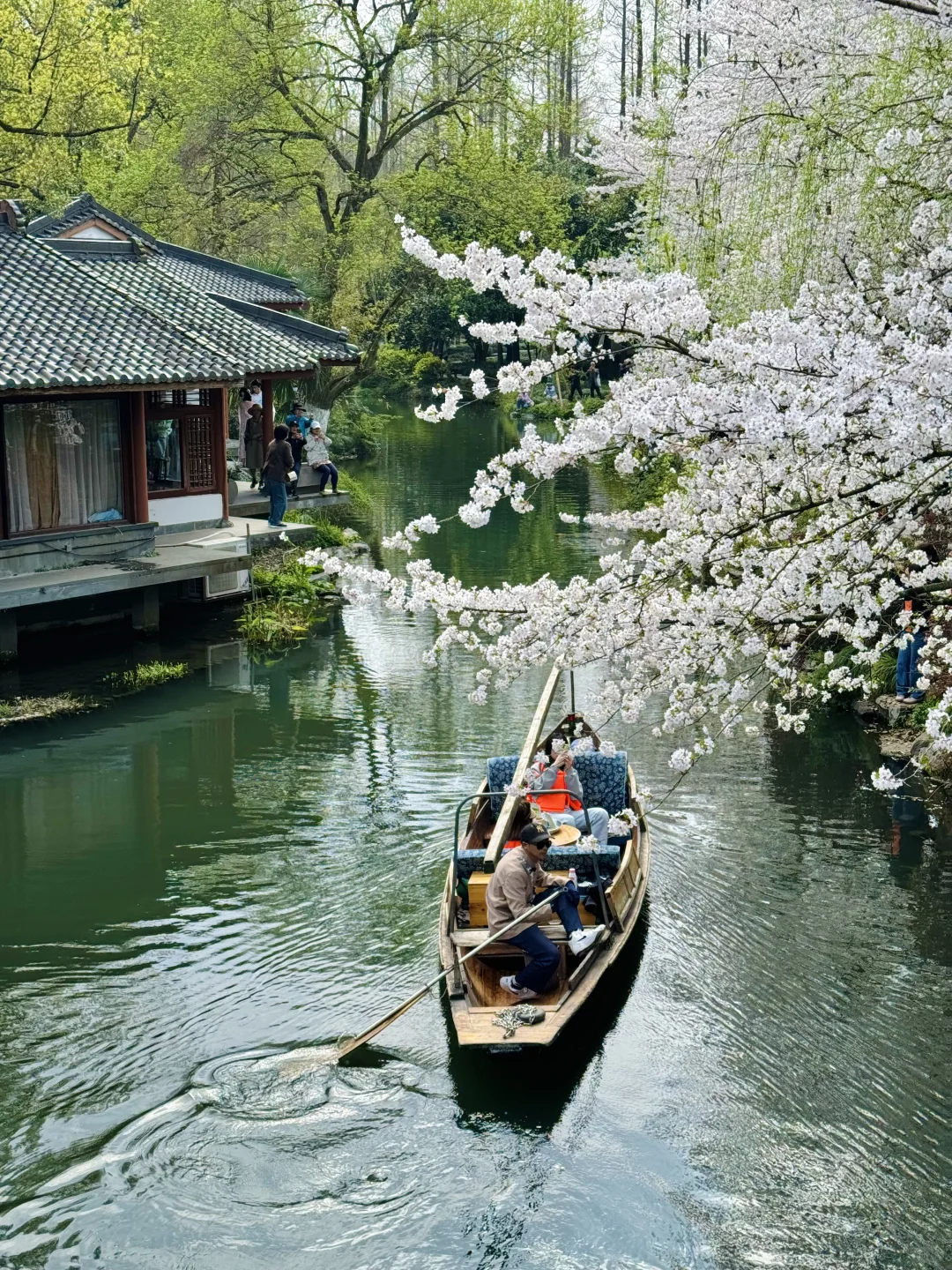 2024记忆存档｜我的年度封神live瞬间🎞️