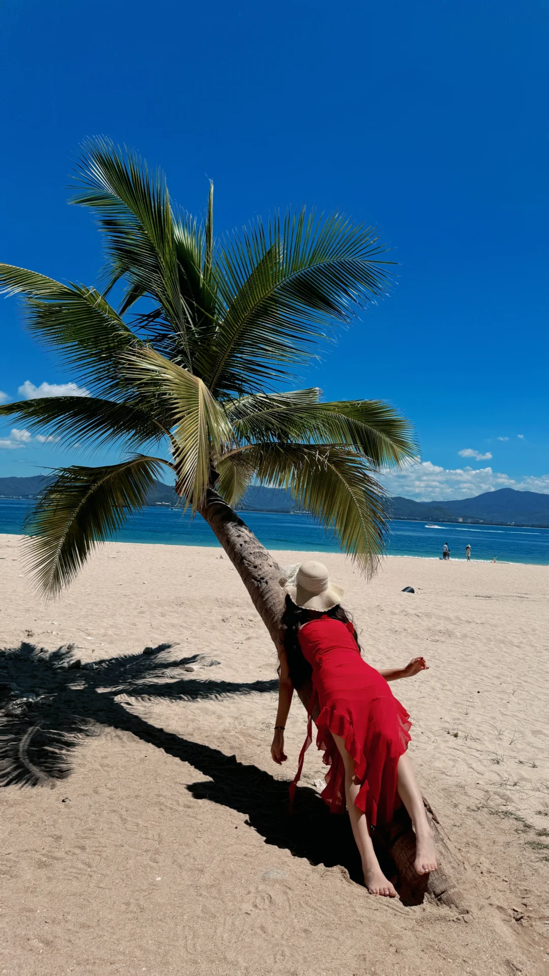 为了一棵树来到一座城