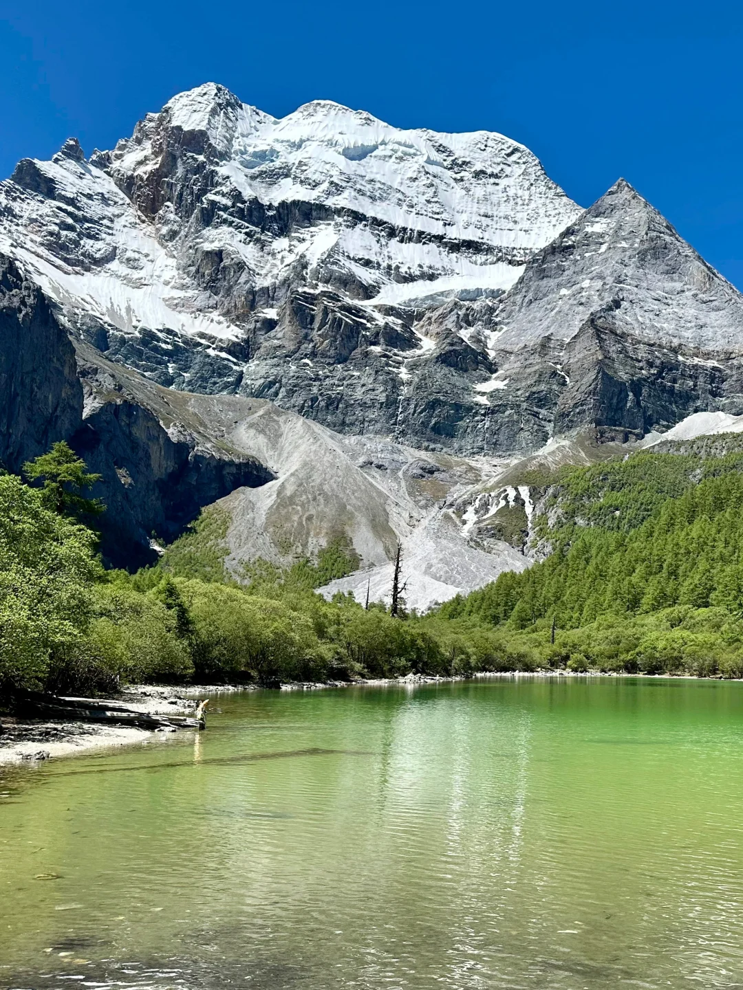 6.6📍川西已回，live实况直出，劝退不了
