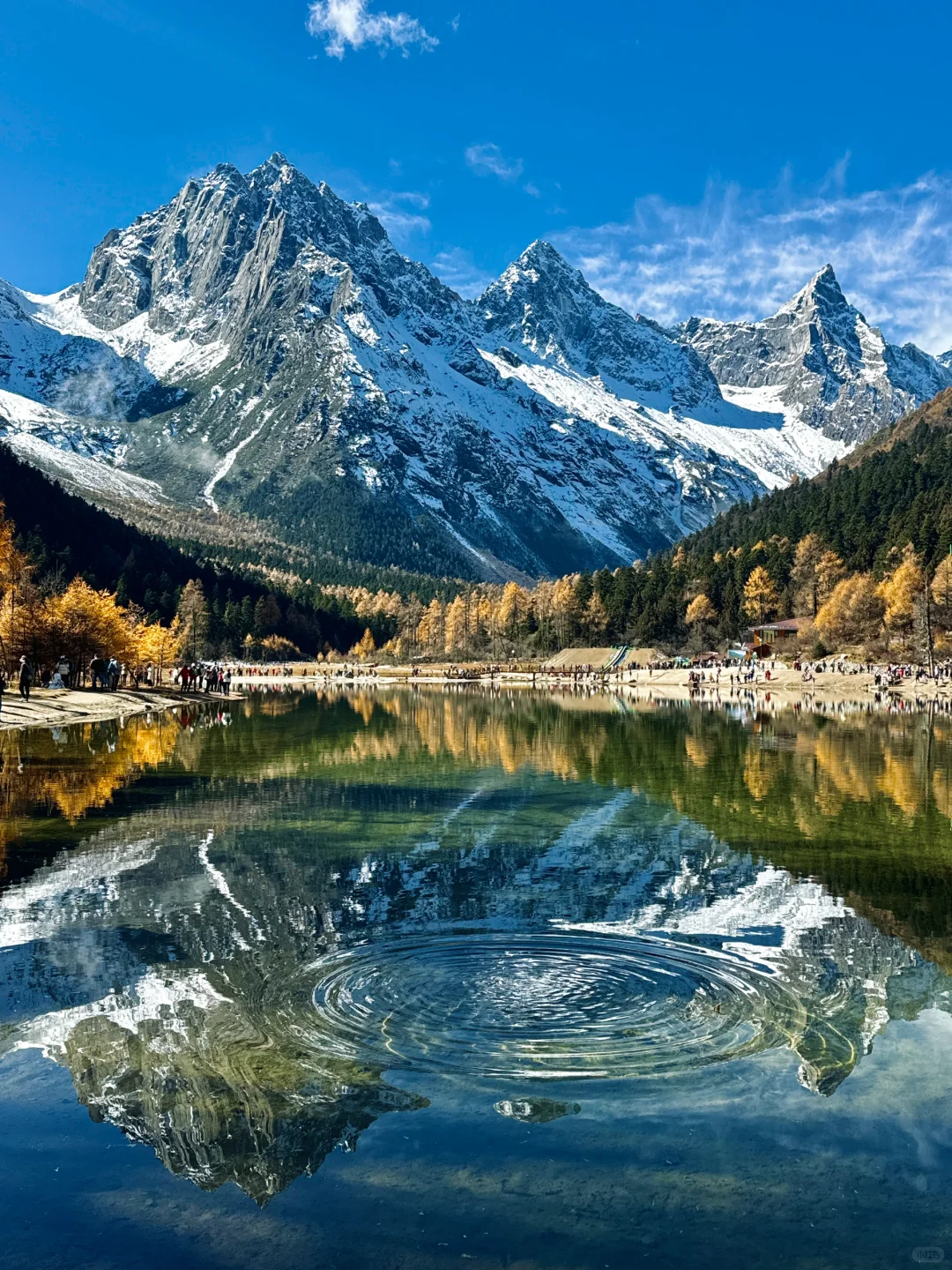 2024记忆存档｜我的年度封神live瞬间🎞️