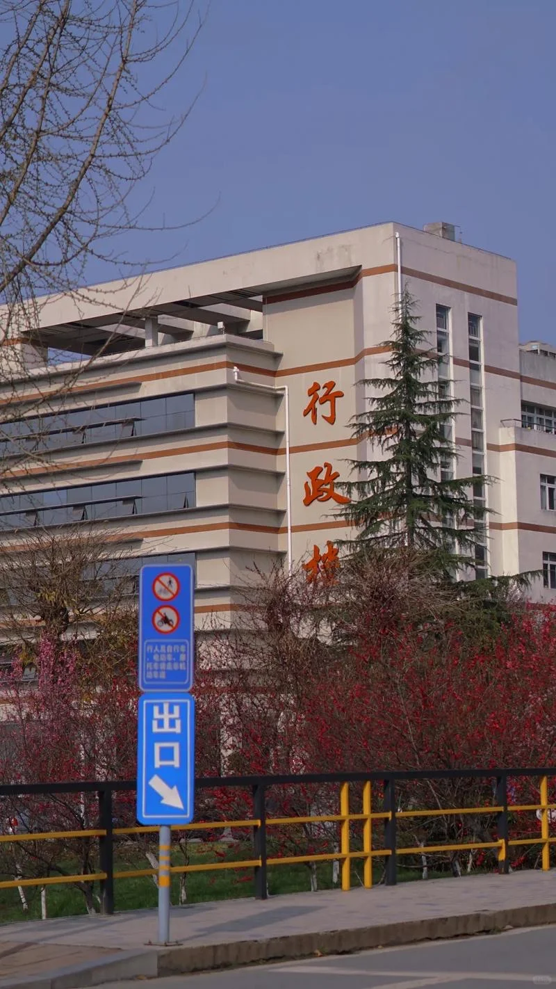 三大超火的打卡景点get