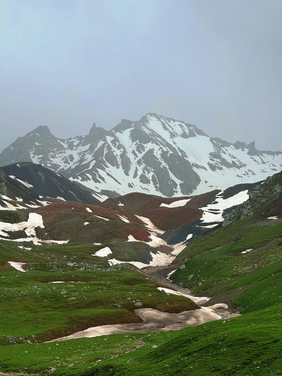 大草原的画作🎨🖌️🍃