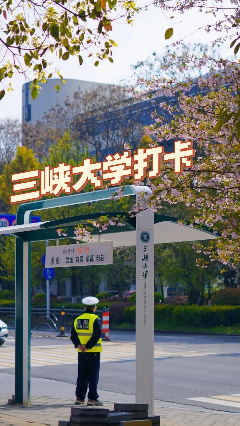 三大超火的打卡景点get