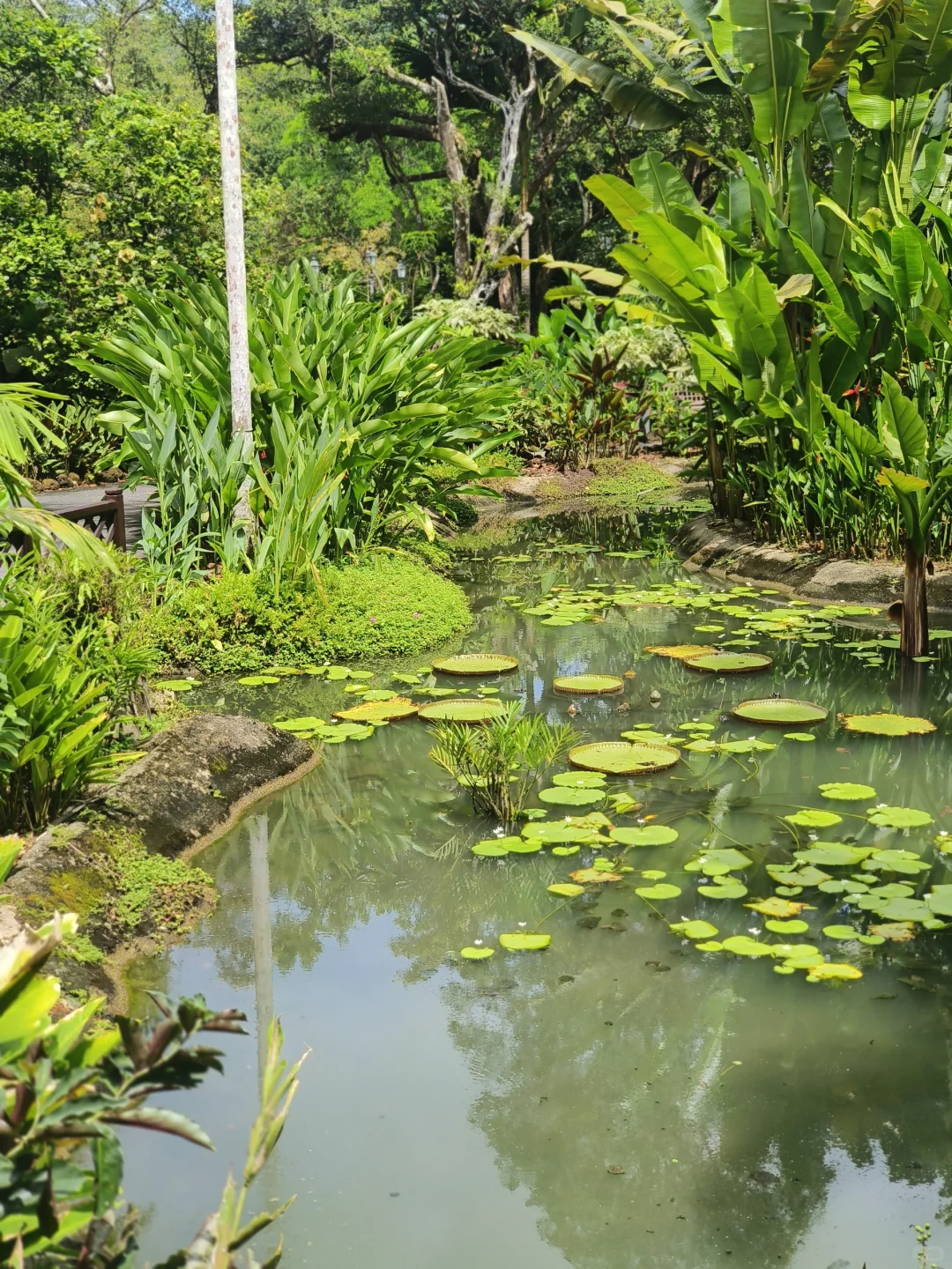 一些新加坡🇸🇬旅行碎片🧩