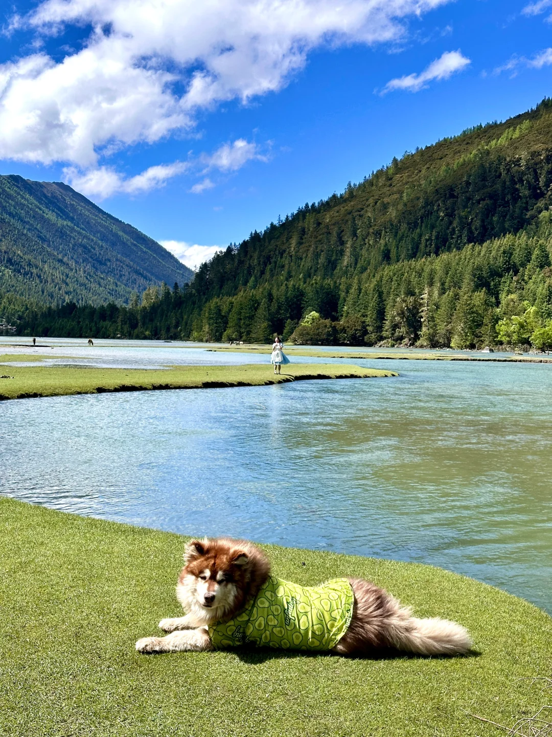 川西三天两晚!姑弄村➕甲根坝,攻略来咯……