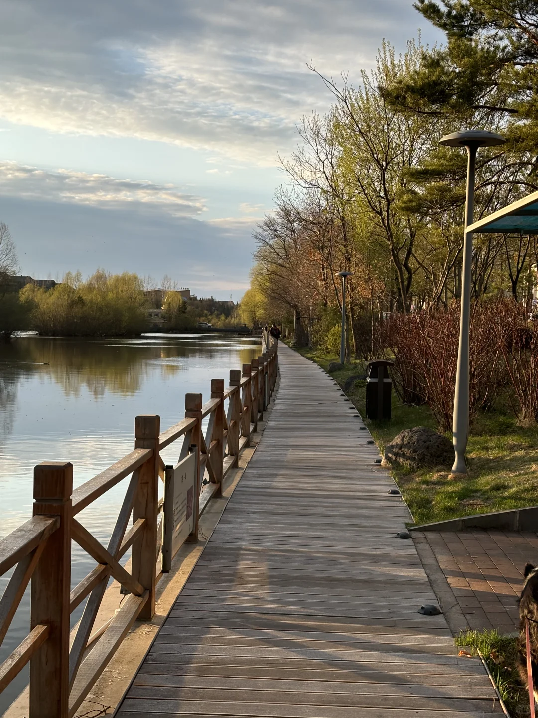 长白山北坡二道白河6月份旅游怎么玩攻略