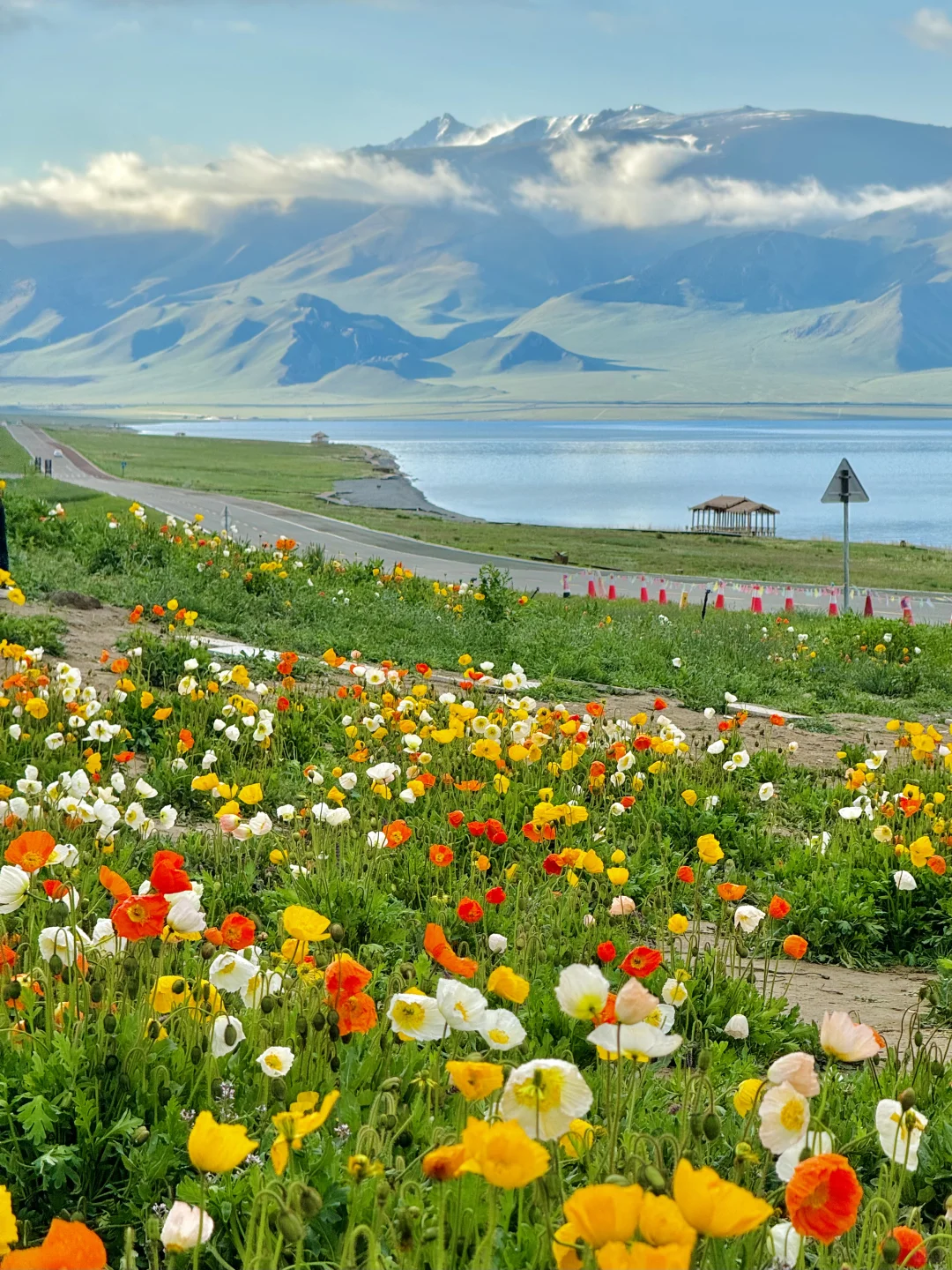 2024记忆存档｜我的年度封神live瞬间🎞️