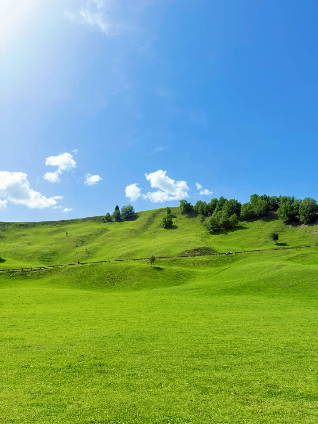 大草原的画作🎨🖌️🍃