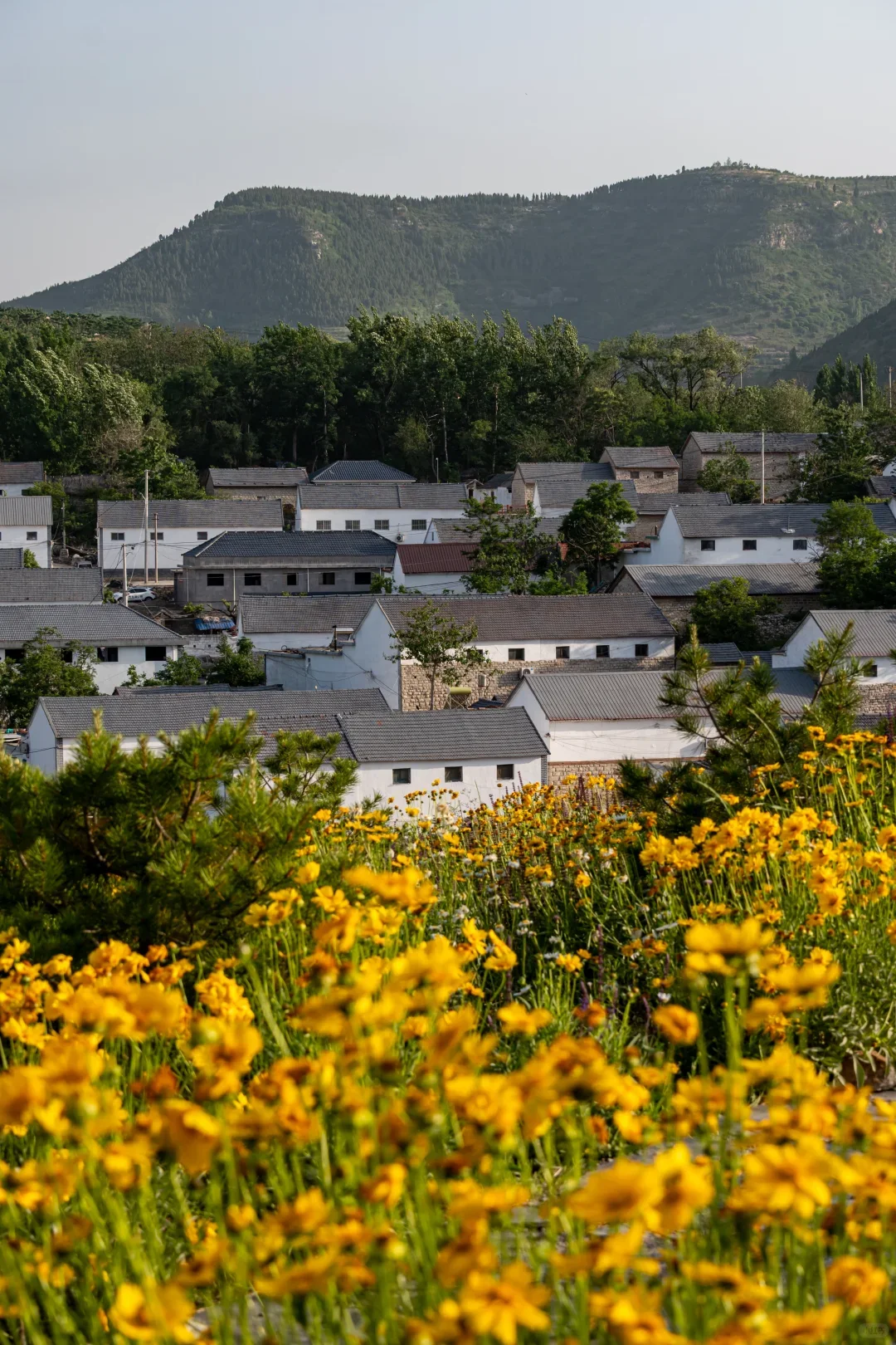 沂源🔥不允许还有人不知道这座小城💦