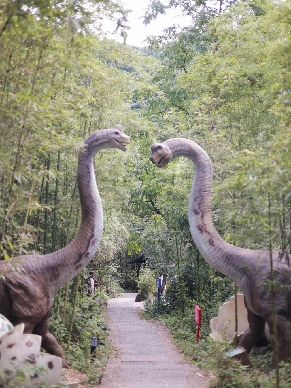 🔥暑假避暑天花板！天子地玩到不想回家！
