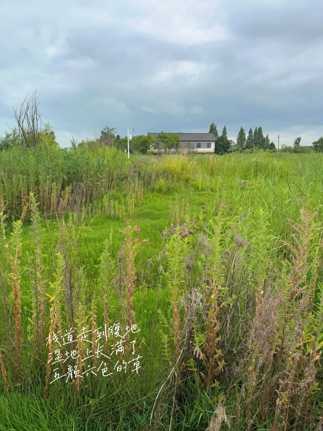 雨季滇池这么玩❗️不错过任何精彩 还不累❗️