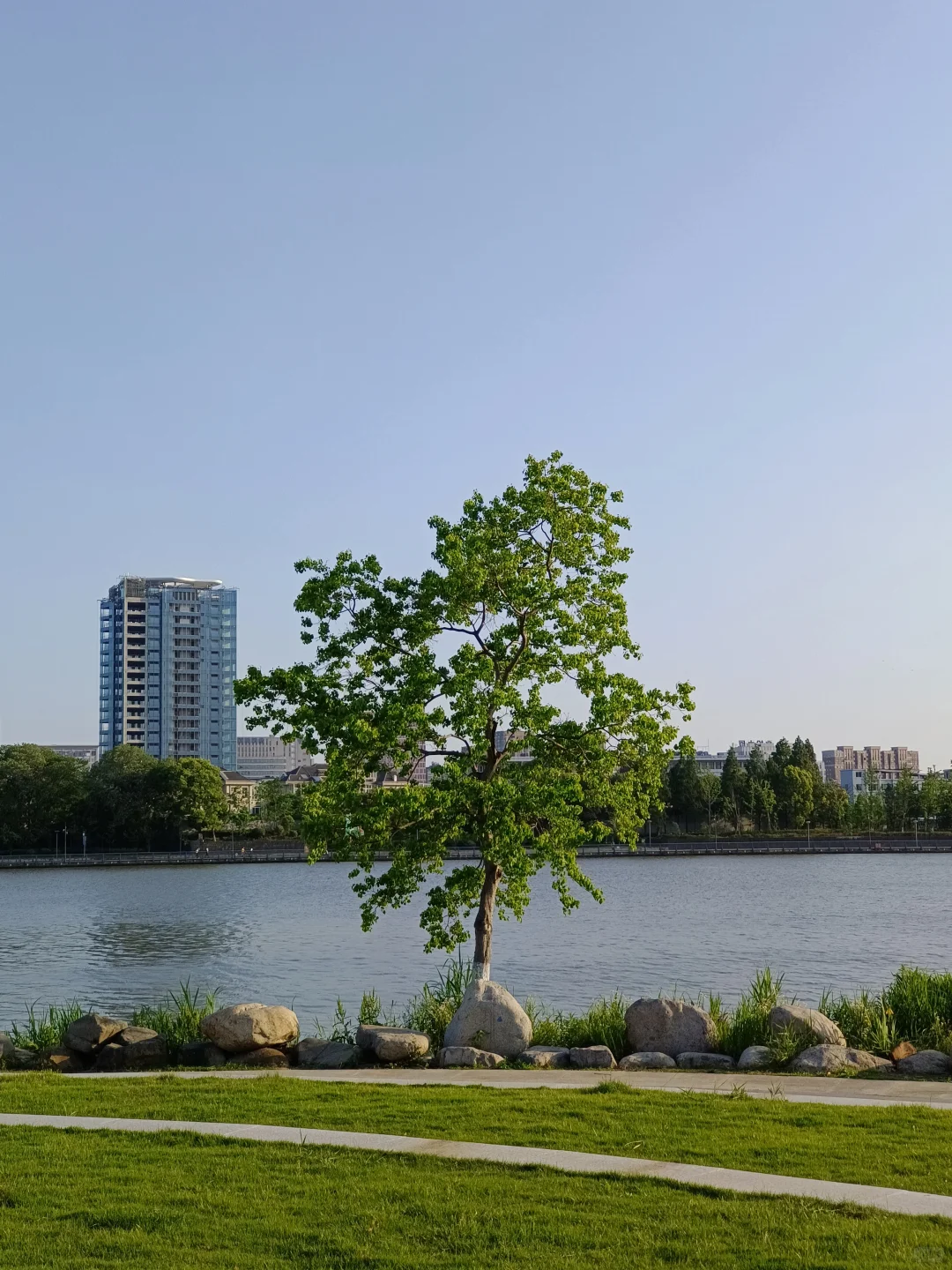 江边公园，好天气散散步吹吹风很治愈