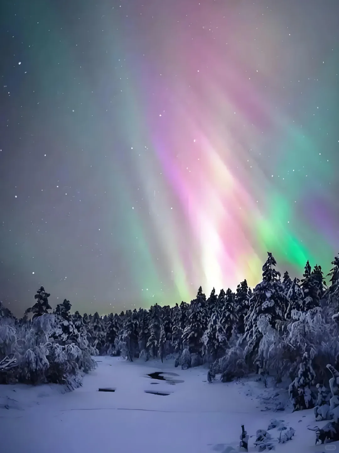 漠河极光🫐总要看场极光吧❗附旅游攻略！