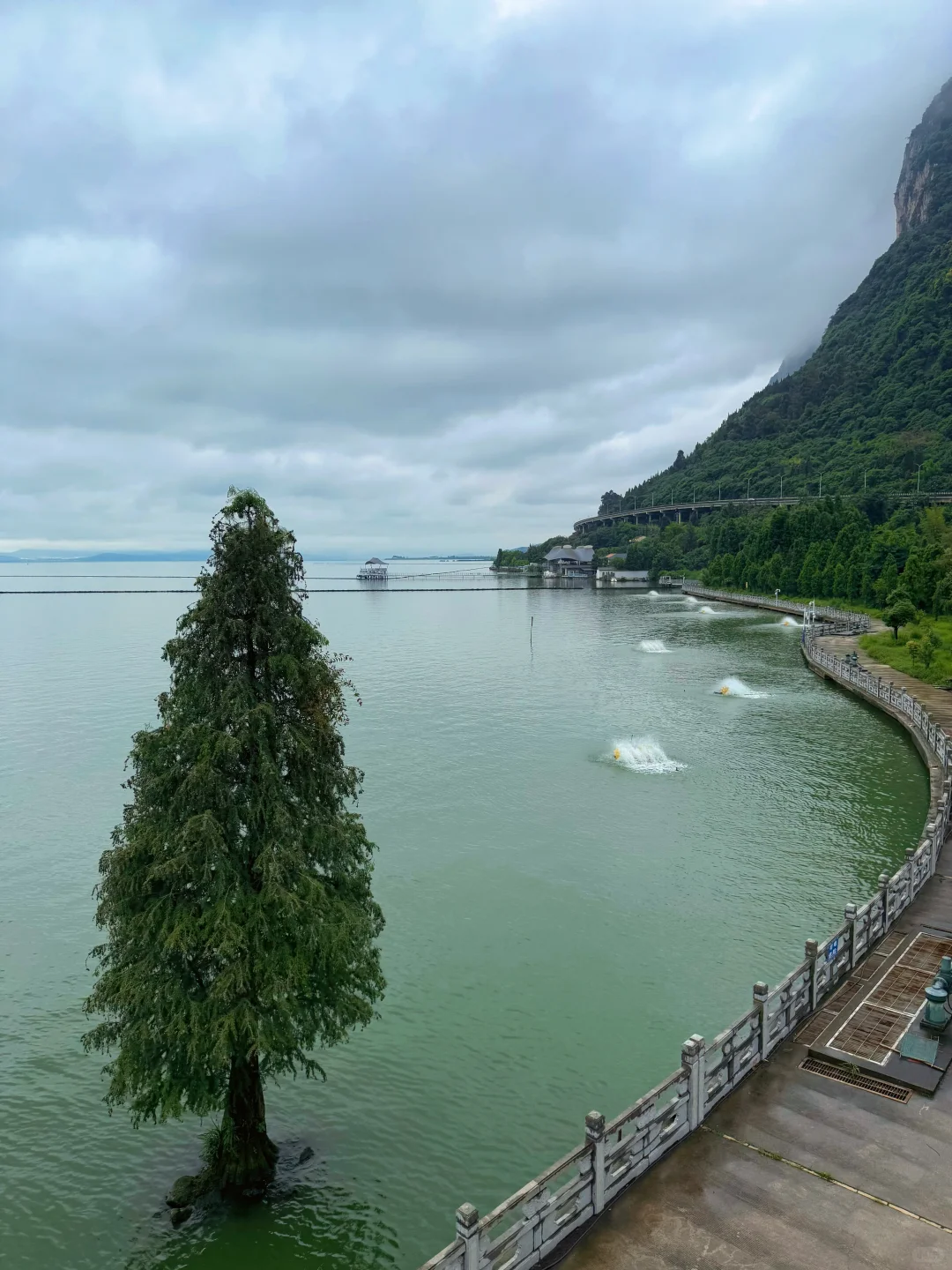 雨季滇池这么玩❗️不错过任何精彩 还不累❗️