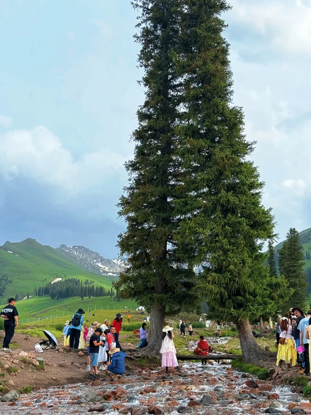 大草原的画作🎨🖌️🍃