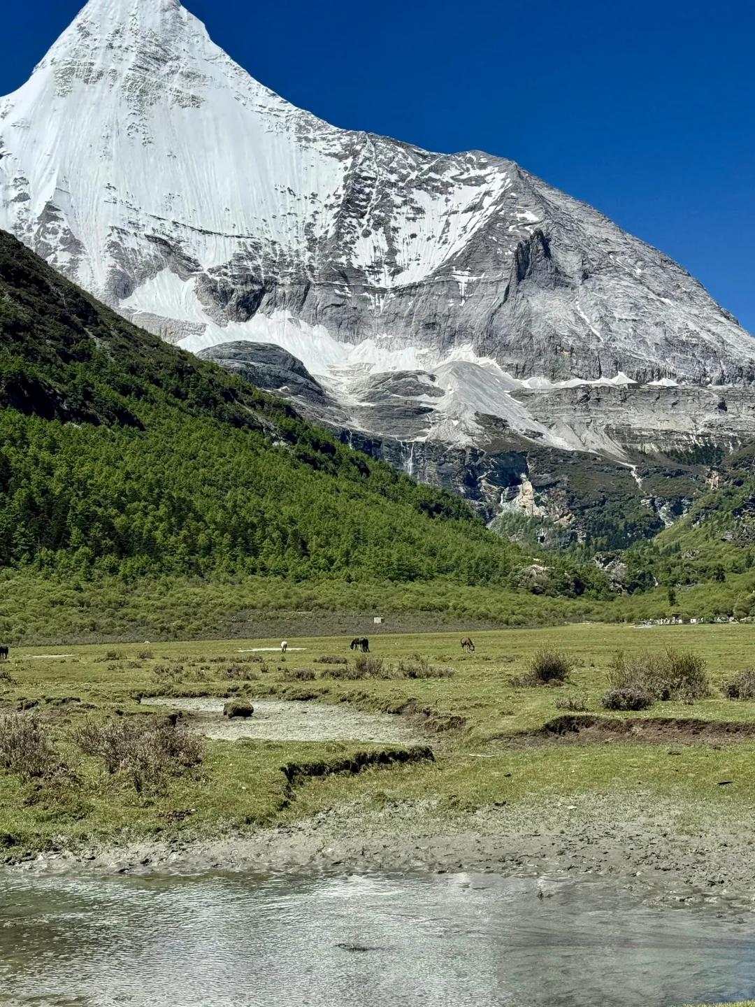 6.6📍川西已回，live实况直出，劝退不了