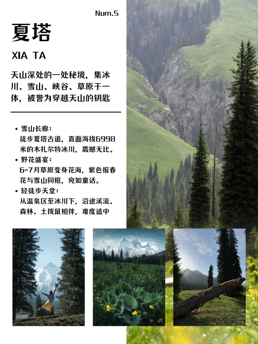 新疆旅游必打卡的九大景点‼️你都打卡了吗